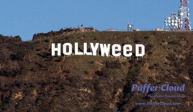 Hollyweed Culprit Still In Hiding