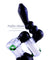 6" Double Bubble Bubbler - Puffer Cloud | The World's Best Online Smoke and Head Shop