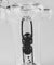 Sidecar Bubbler With Ant Insect Downstem By Mathematix - Puffer Cloud | The World's Best Online Smoke and Head Shop